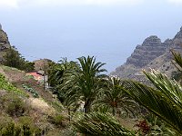 Foto 239